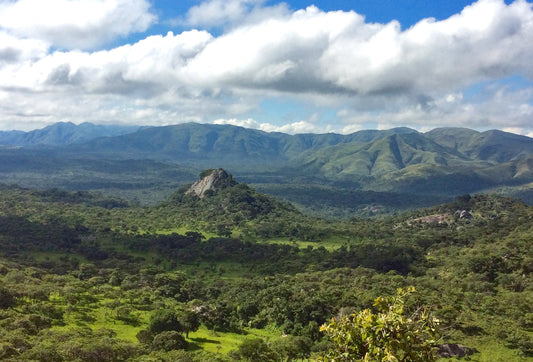 Tracking Dr Jackson’s in Africa